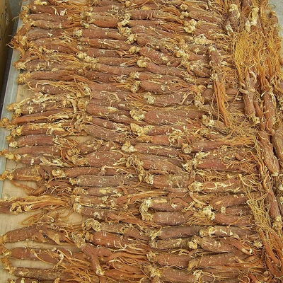 جينسنغ كوري أحمر
